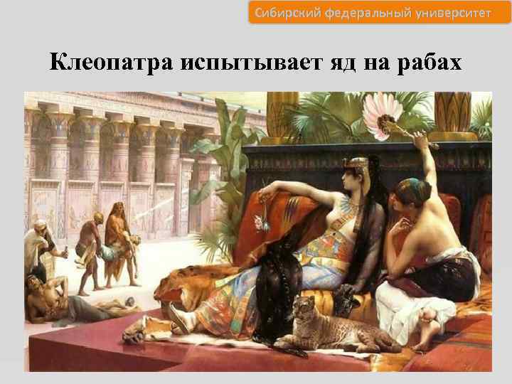 Сибирский федеральный университет Клеопатра испытывает яд на рабах 