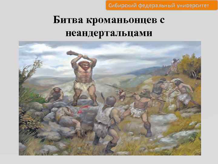 Сибирский федеральный университет Битва кроманьонцев с неандертальцами 