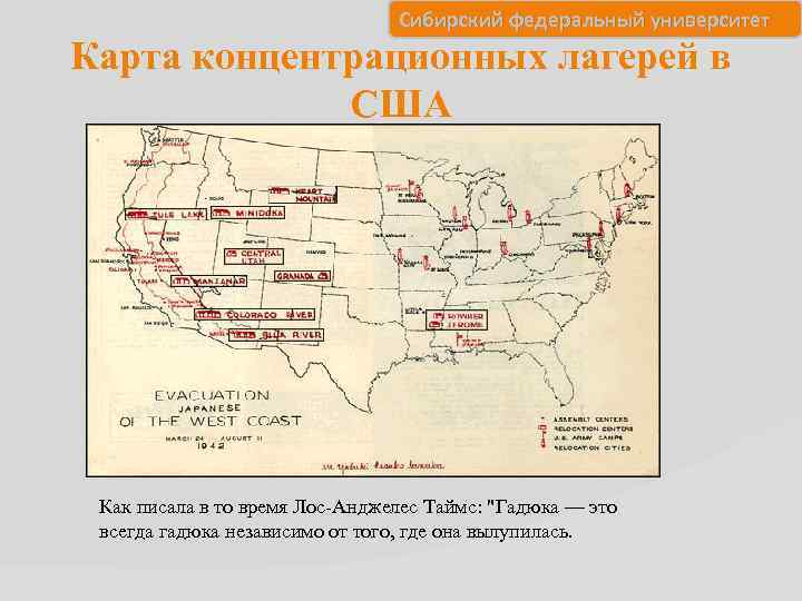 Сибирский федеральный университет Карта концентрационных лагерей в США Как писала в то время Лос-Анджелес
