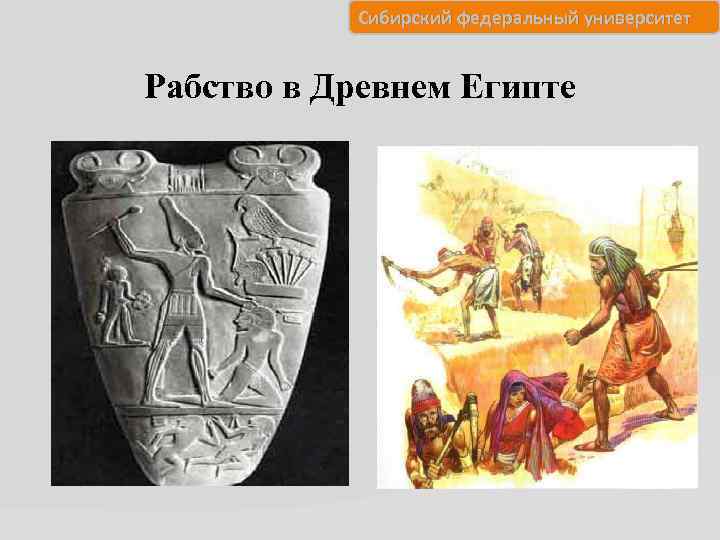 Сибирский федеральный университет Рабство в Древнем Египте 