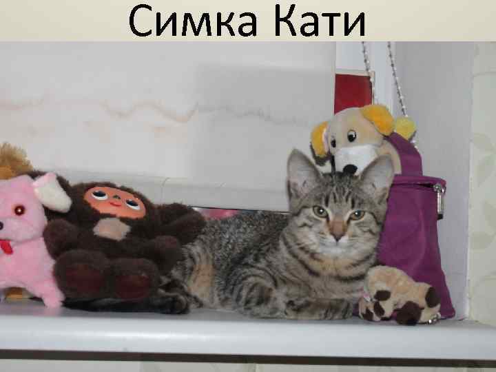 Симка Кати 