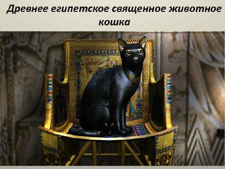 Древнее египетское священное животное кошка 