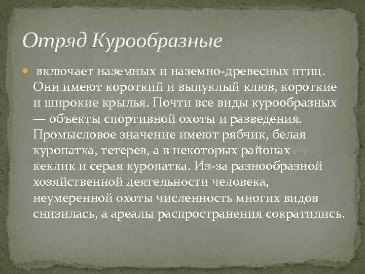 Отряд Курообразные включает наземных и наземно-древесных птиц. Они имеют короткий и выпуклый клюв, короткие