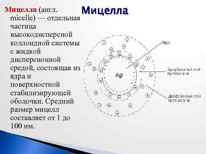 Схема строения коллоидной мицеллы