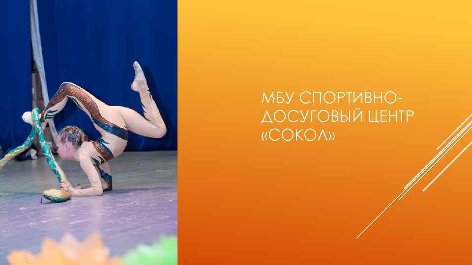 МБУ СПОРТИВНОДОСУГОВЫЙ ЦЕНТР «СОКОЛ» 