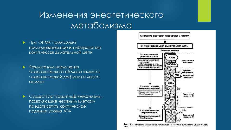 Изменения энергетического метаболизма При ОНМК происходит последовательное ингибирование комплексов дыхательной цепи Результатом нарушения энергетического