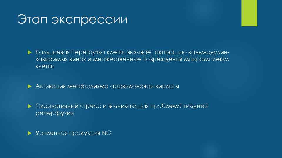 Этап экспрессии Кальциевая перегрузка клетки вызывает активацию кальмодулинзависимых киназ и множественные повреждения макромолекул клетки