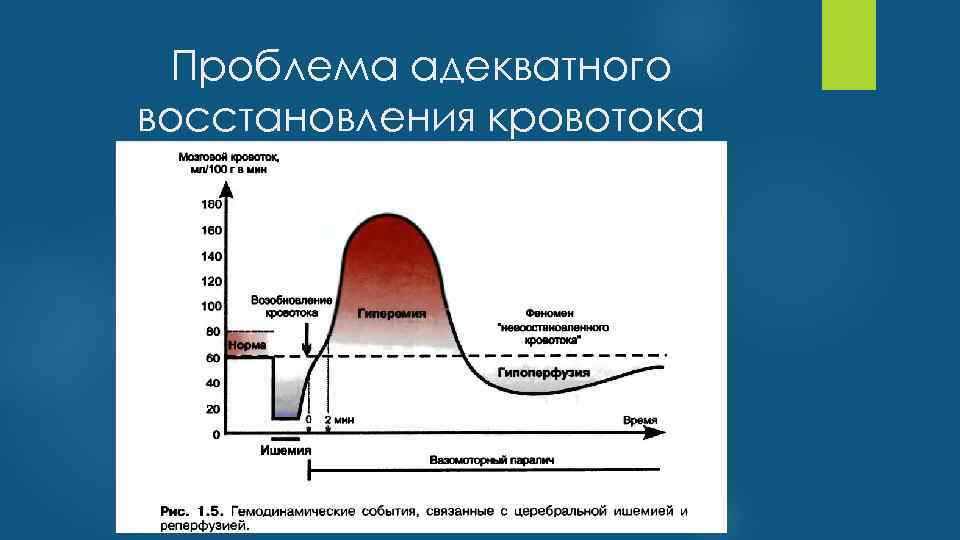 Проблема адекватного восстановления кровотока 