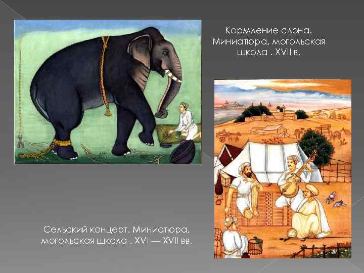 Кормление слона. Миниатюра, могольская школа. XVII в. Сельский концерт. Миниатюра, могольская школа. XVI —