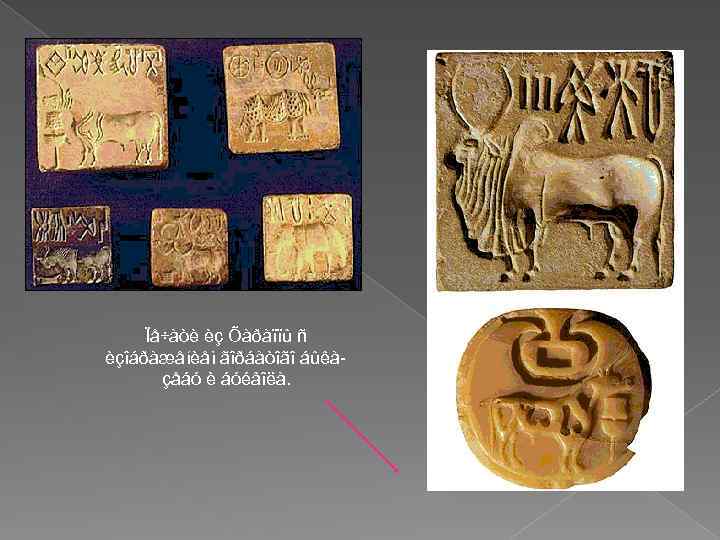 Ïå÷àòè èç Õàðàïïû ñ èçîáðàæåíèåì ãîðáàòîãî áûêàçåáó è áóéâîëà. 