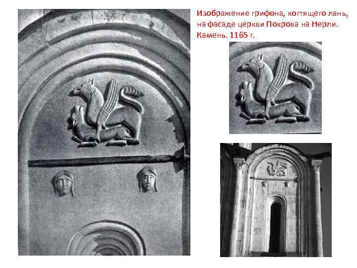 Изображение грифона, когтящего лань, на фасаде церкви Покрова на Нерли. Камень. 1165 г. 