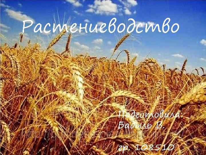 Растениеводство Подготовила: Бадыль В. гр. 108510 