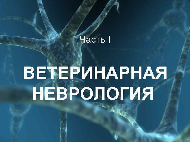 Часть І ВЕТЕРИНАРНАЯ НЕВРОЛОГИЯ 