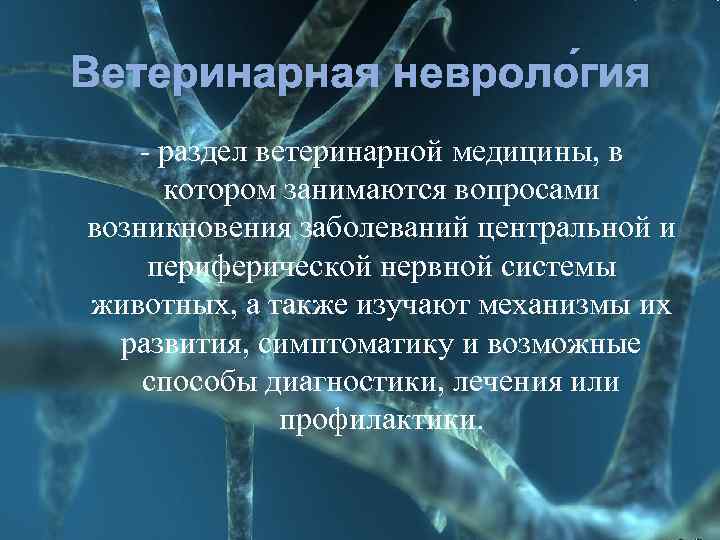 Ветеринарная невроло гия - раздел ветеринарной медицины, в котором занимаются вопросами возникновения заболеваний центральной