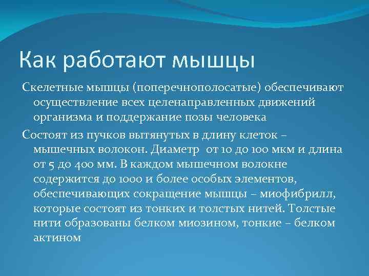 Как работают мышцы Скелетные мышцы (поперечнополосатые) обеспечивают осуществление всех целенаправленных движений организма и поддержание