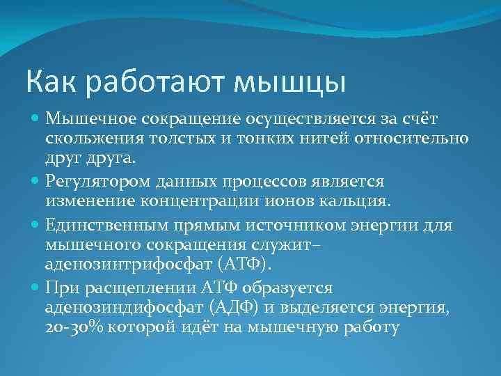 Как работают мышцы Мышечное сокращение осуществляется за счёт скольжения толстых и тонких нитей относительно