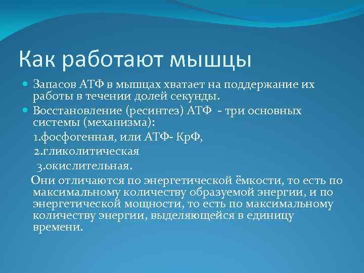 Как работают мышцы Запасов АТФ в мышцах хватает на поддержание их работы в течении