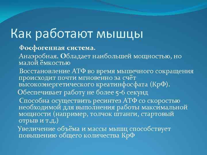 Как работают мышцы Фосфогенная система. Анаэробная. Обладает наибольшей мощностью, но малой ёмкостью Восстановление АТФ