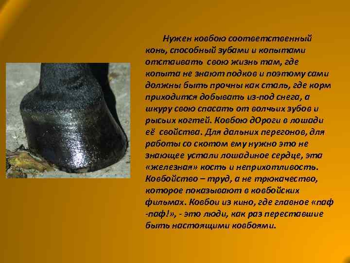 Нужен ковбою соответственный конь, способный зубами и копытами отстаивать свою жизнь там, где копыта