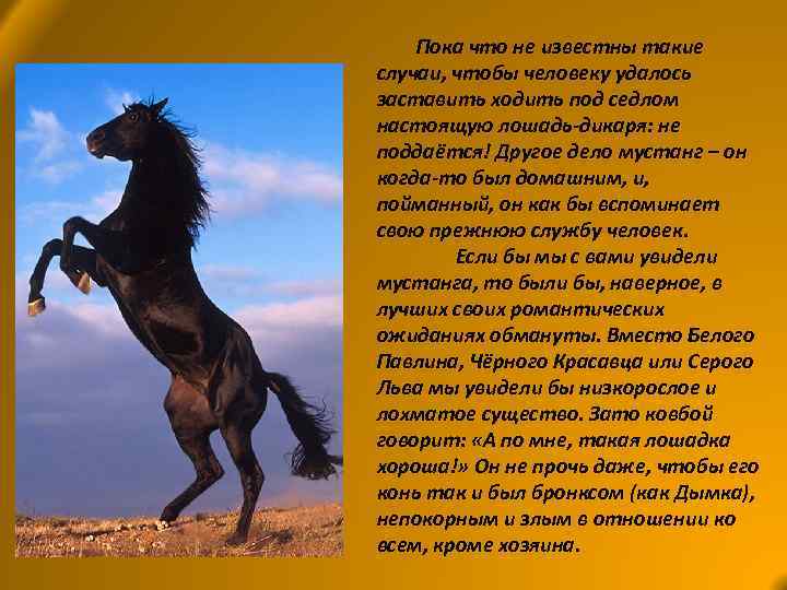 Пока что не известны такие случаи, чтобы человеку удалось заставить ходить под седлом настоящую