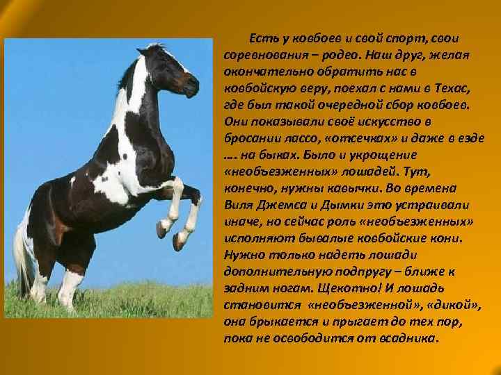 Есть у ковбоев и свой спорт, свои соревнования – родео. Наш друг, желая окончательно