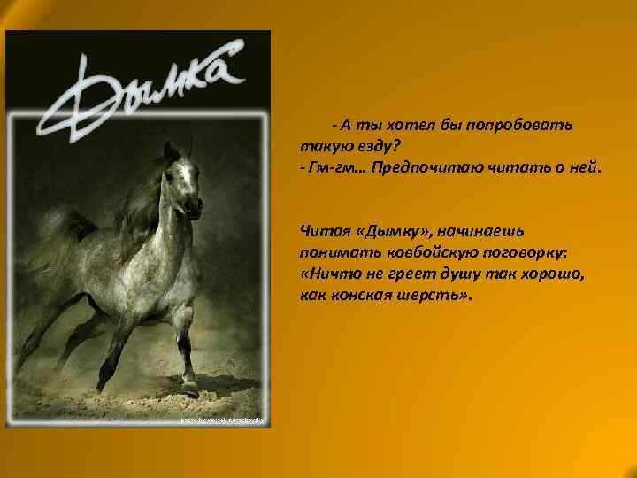- А ты хотел бы попробовать такую езду? - Гм-гм… Предпочитаю читать о ней.