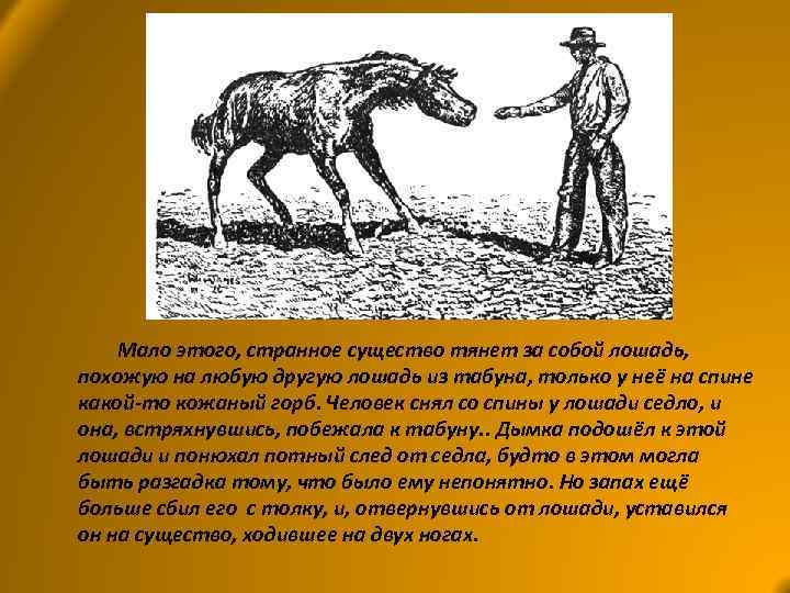 Мало этого, странное существо тянет за собой лошадь, похожую на любую другую лошадь из