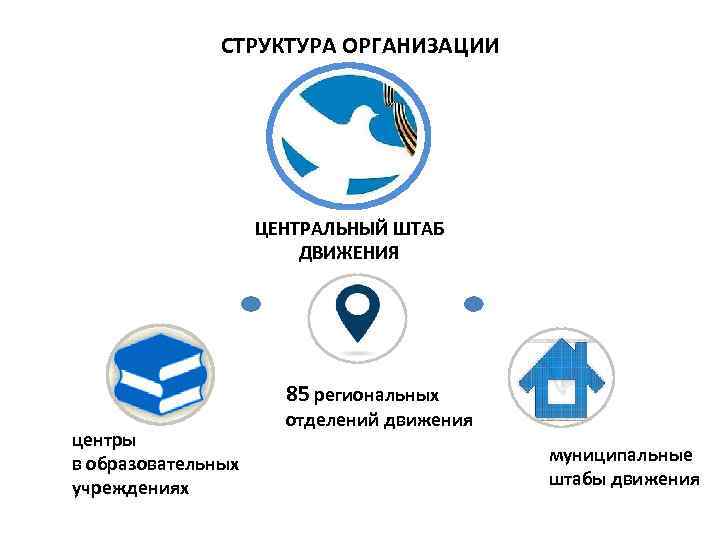 СТРУКТУРА ОРГАНИЗАЦИИ ЦЕНТРАЛЬНЫЙ ШТАБ ДВИЖЕНИЯ 85 региональных центры в образовательных учреждениях отделений движения муниципальные