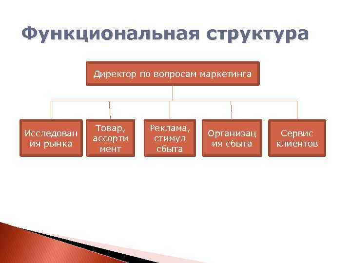 Структура директор. Структура маркетинговой деятельности. Функциональная структура маркетинга. Структура маркетинговой деятельности предприятия. Функциональная структура маркетинговой деятельности.