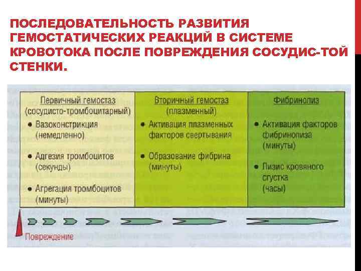 Гемостатическая схема регулона