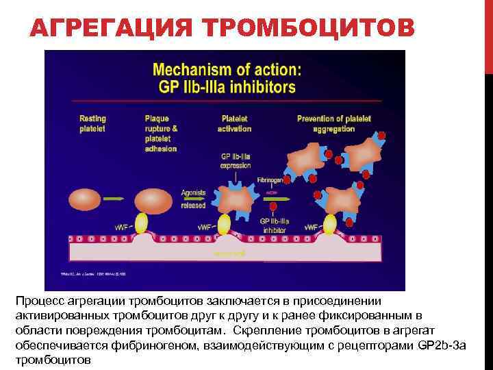 Агрегация это. Исследование агрегационной функции тромбоцитов показатели. Стадии агрегации тромбоцитов. Процесс агрегации тромбоцитов. Основные индукторы агрегации тромбоцитов.