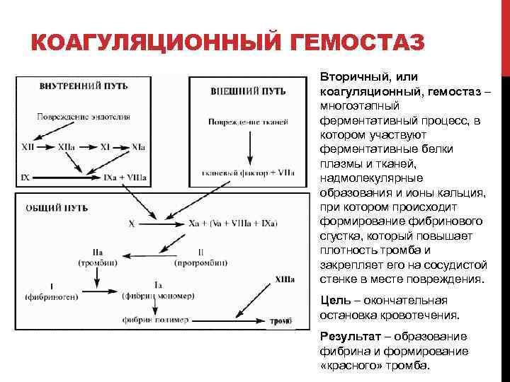 Понятие гемостаза изобразить схему гемостаза