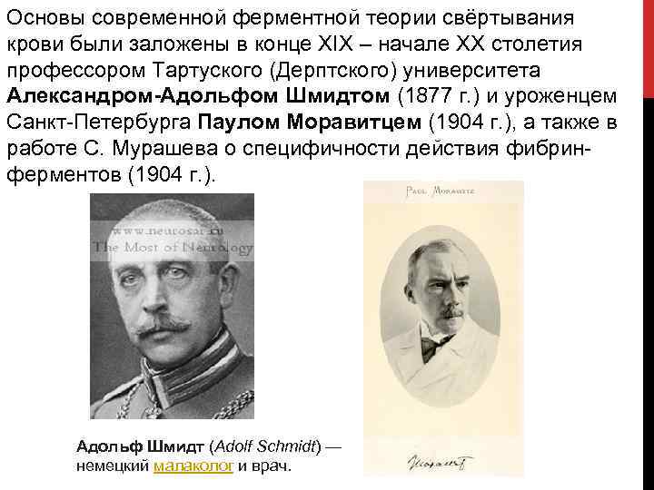 Основы современной ферментной теории свёртывания крови были заложены в конце XIX – начале XX