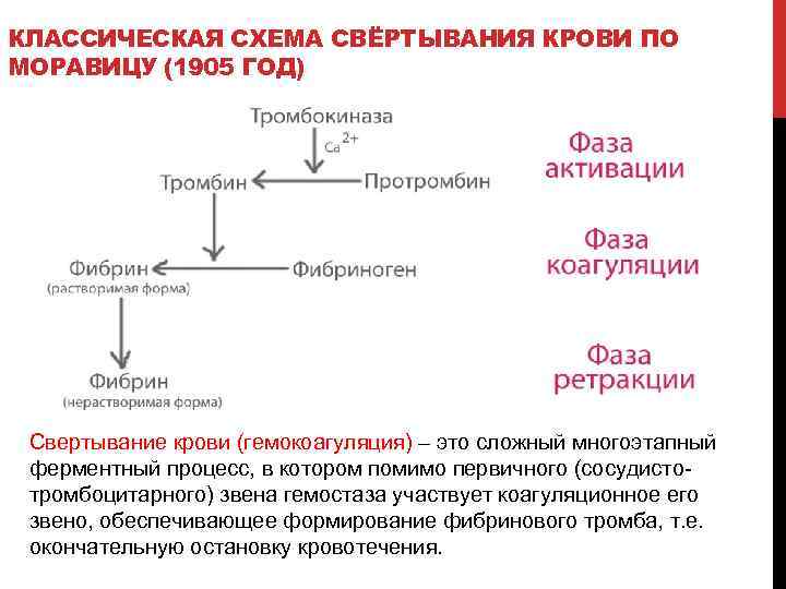 КЛАССИЧЕСКАЯ СХЕМА СВЁРТЫВАНИЯ КРОВИ ПО МОРАВИЦУ (1905 ГОД) Свертывание крови (гемокоагуляция) – это сложный