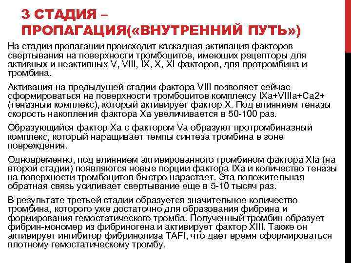 3 СТАДИЯ – ПРОПАГАЦИЯ( «ВНУТРЕННИЙ ПУТЬ» ) На стадии пропагации происходит каскадная активация факторов