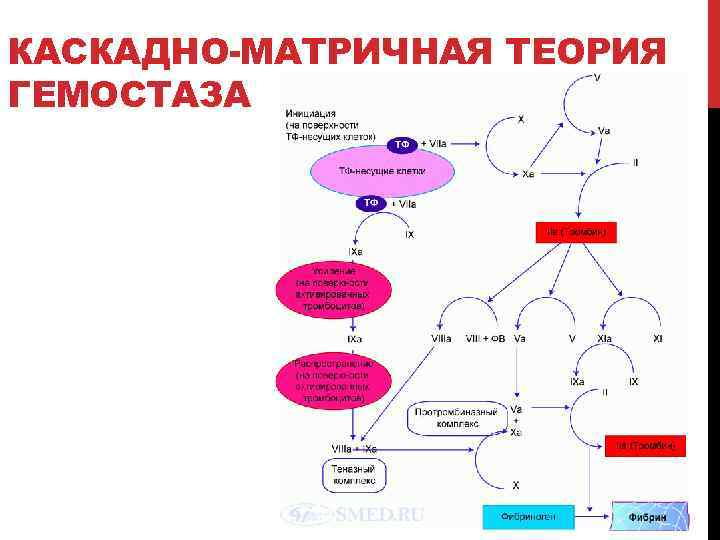 Гемостаз регулоном схема