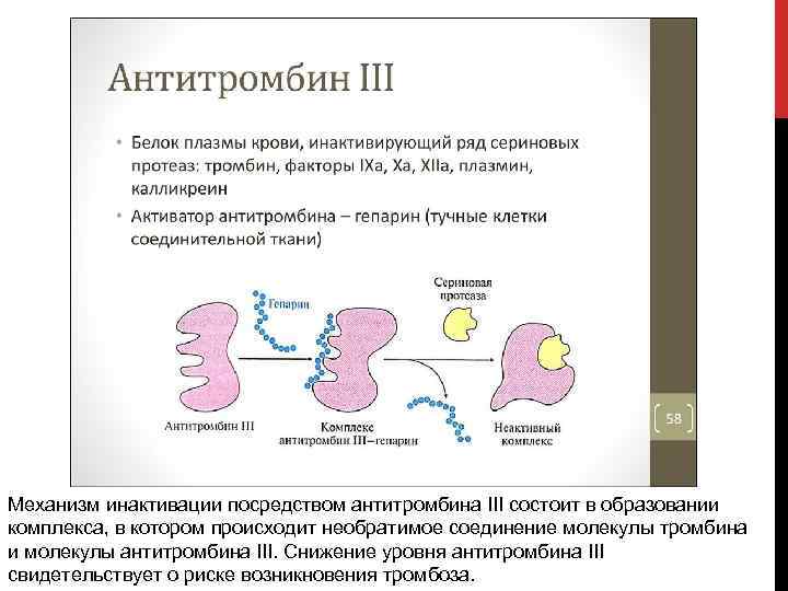 Механизм инактивации посредством антитромбина III состоит в образовании комплекса, в котором происходит необратимое соединение