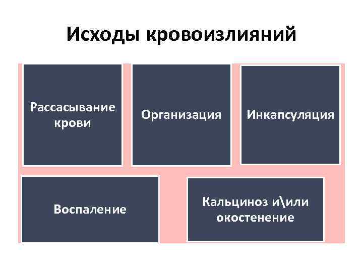 Исходы кровоизлияний Рассасывание крови Воспаление Организация Инкапсуляция Кальциноз иили окостенение 
