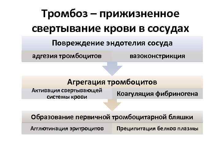 Тромбоз – прижизненное свертывание крови в сосудах Повреждение эндотелия сосуда адгезия тромбоцитов вазоконстрикция Агрегация
