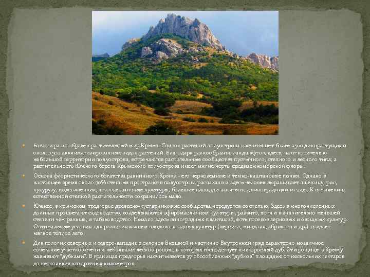  Богат и разнообразен растительный мир Крыма. Список растений полуострова насчитывает более 2500 дикорастущих