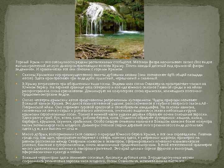 Горный Крым — это совокупность редких растительных сообществ. Местная флора насчитывает около 1800 видов