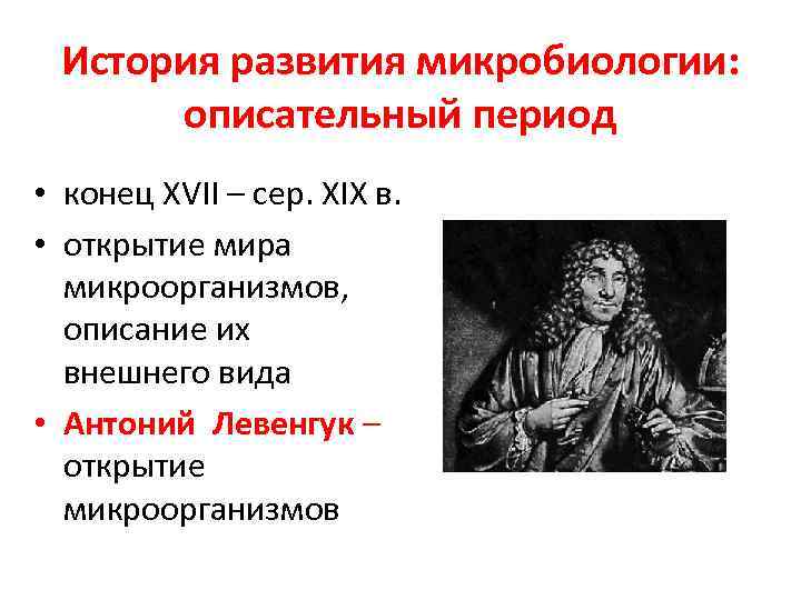 История развития микробиологии: описательный период • конец XVII – сер. XIX в. • открытие