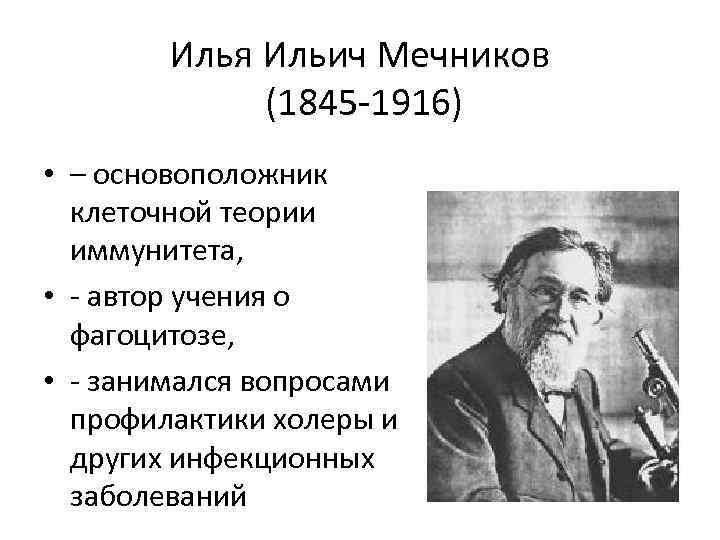 Илья Ильич Мечников (1845 -1916) • – основоположник клеточной теории иммунитета, • - автор