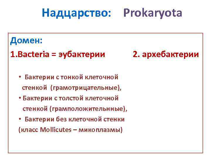 Надцарство: Prokaryota Домен: 1. Bacteria = эубактерии • Бактерии с тонкой клеточной стенкой (грамотрицательные),