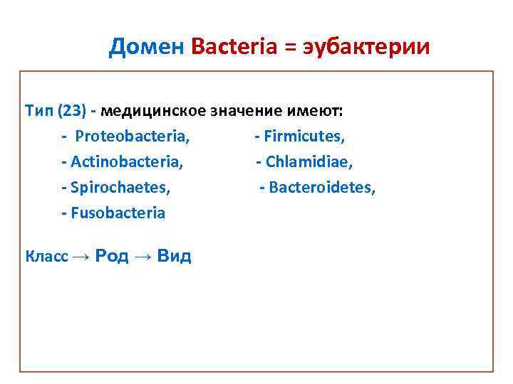 Домен Bacteria = эубактерии Тип (23) - медицинское значение имеют: - Proteobacteria, - Firmicutes,