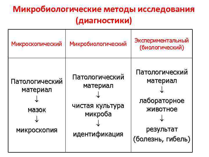 Микробиологические методы исследования (диагностики) Микроскопический Патологический материал мазок микроскопия Микробиологический Экспериментальный (биологический) Патологический материал