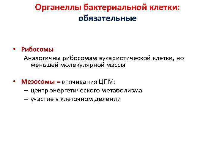 Органеллы бактериальной клетки: обязательные • Рибосомы Аналогичны рибосомам эукариотической клетки, но меньшей молекулярной массы
