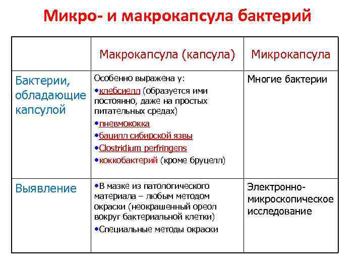 Микро- и макрокапсула бактерий Макрокапсула (капсула) Особенно выражена у: Бактерии, (образуется ими обладающие •