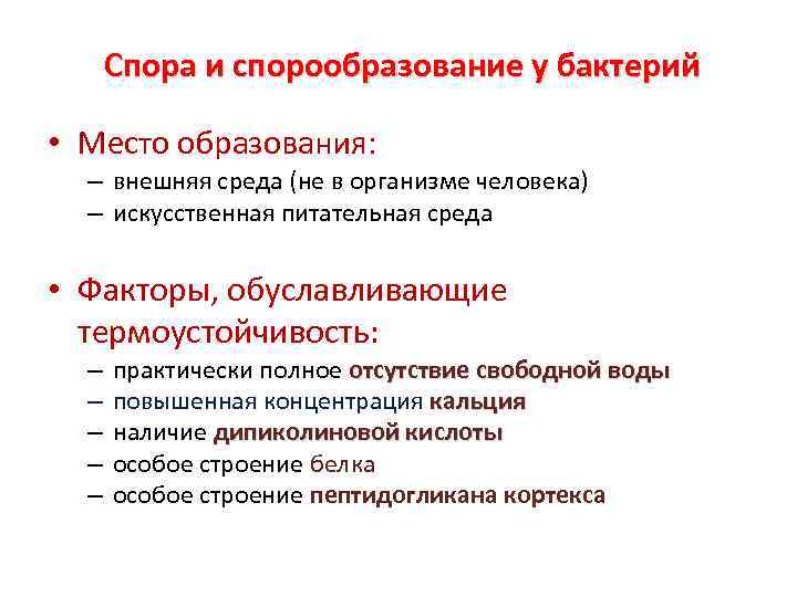 Спора и спорообразование у бактерий • Место образования: – внешняя среда (не в организме