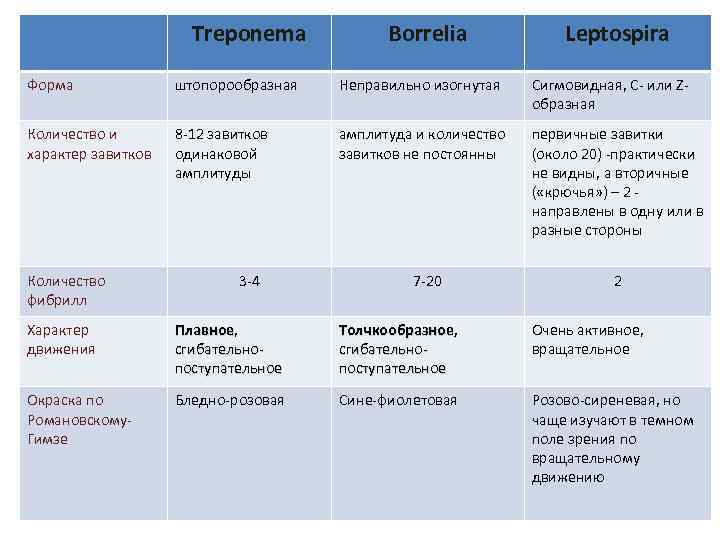 Treponema Borrelia Leptospira Форма штопорообразная Неправильно изогнутая Сигмовидная, С- или Zобразная Количество и характер